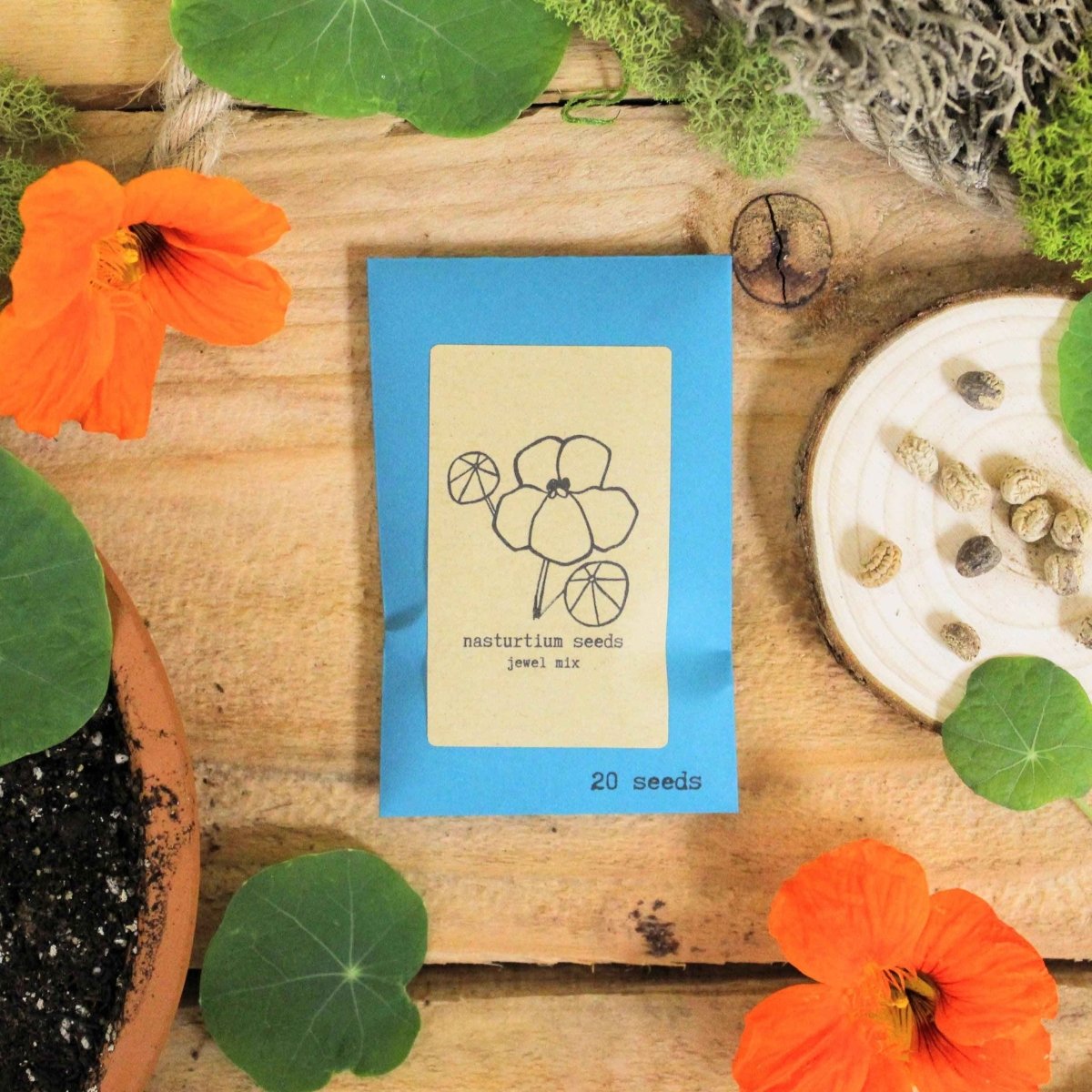 "Indoor Blooms" Seed Collection – photo 2