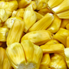 Jackfruit 'Black Gold' (Artocarpus heterophyllus)