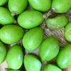 June Plum (Spondias dulcis)