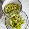 June Plum (Spondias dulcis)