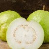 Guava 'Kilo' (Psidium guajava)