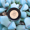 Lapidaria Seed Mix