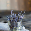 Lavender Seeds – photo 4
