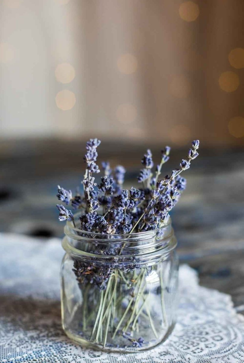 Lavender Seeds – photo 4