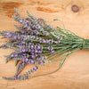 Phenomenal™ Lavender Plant