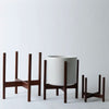 Solid Goods - Square Leg - Mahogany Stand