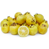 Guava, Lemon (Psidium littorale)