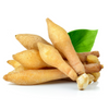 Lesser Galangal (Alpinia officinarum)