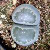 Lithops Mix (Living Stone) Seeds