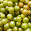Muscadine Grape 'Welder' (Vitis rotundifolia)