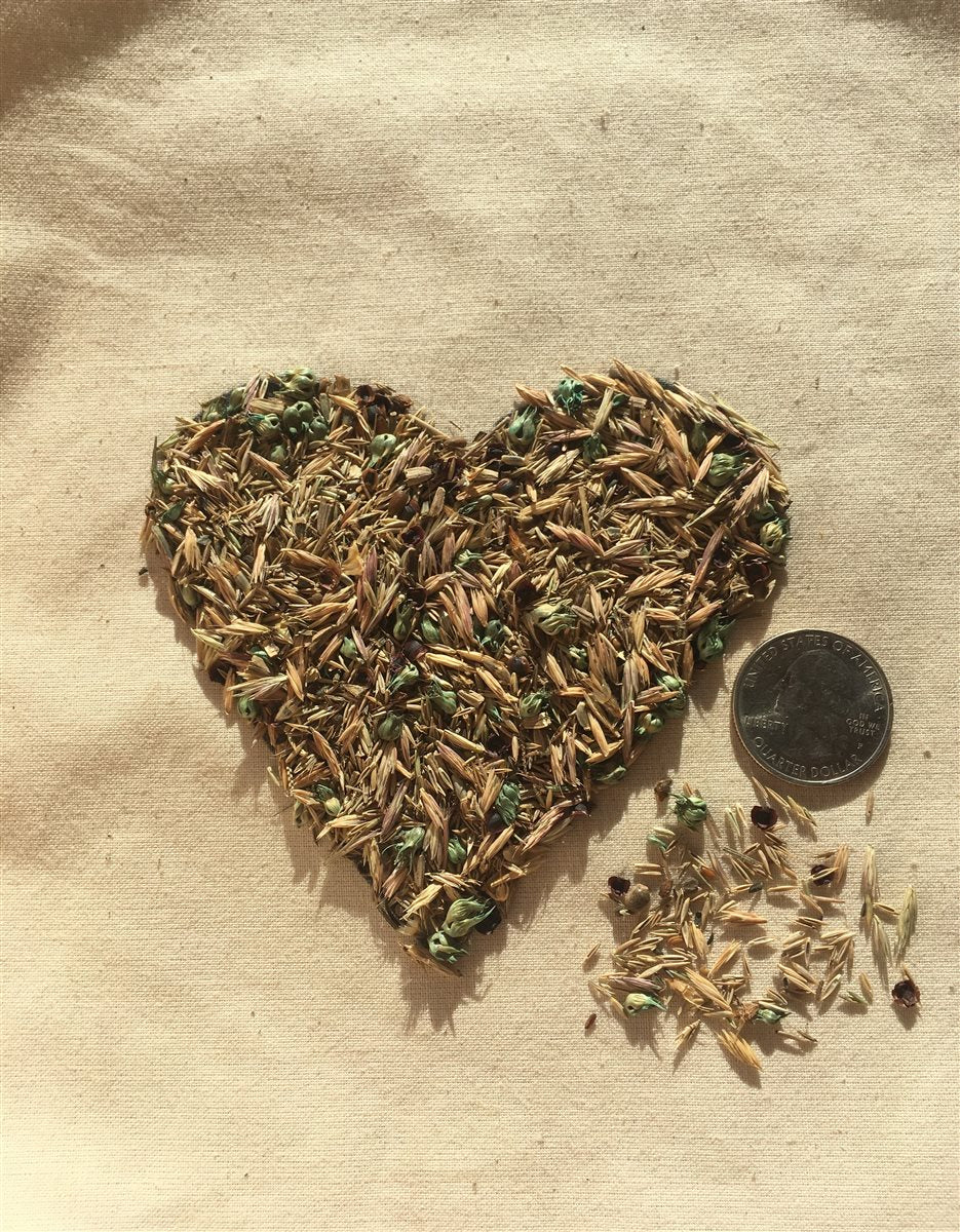 Meadowscaping Mix Alternative Lawn Seed — for Low-Maintenance, Eco-Friendly Lawns – photo 2