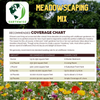 Meadowscaping Mix Alternative Lawn Seed — for Low-Maintenance, Eco-Friendly Lawns – photo 6