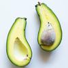 Avocado 'Mexicola' (Persea americana)
