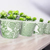 Mini Green Porcelain Cachepots Set Of 6 Hand-Painted Decorative Planters
