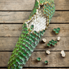 Monstera, Swiss Cheese Plant (Monstera deliciosa)