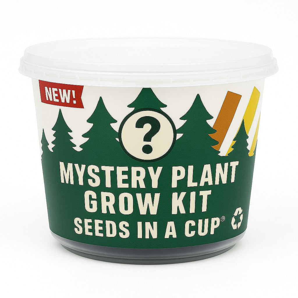 seeds already planted ready to grow Mystery Plant Grow Kit