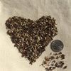 No Deer Here Wildflower Mix – Unsavory Species to Deer