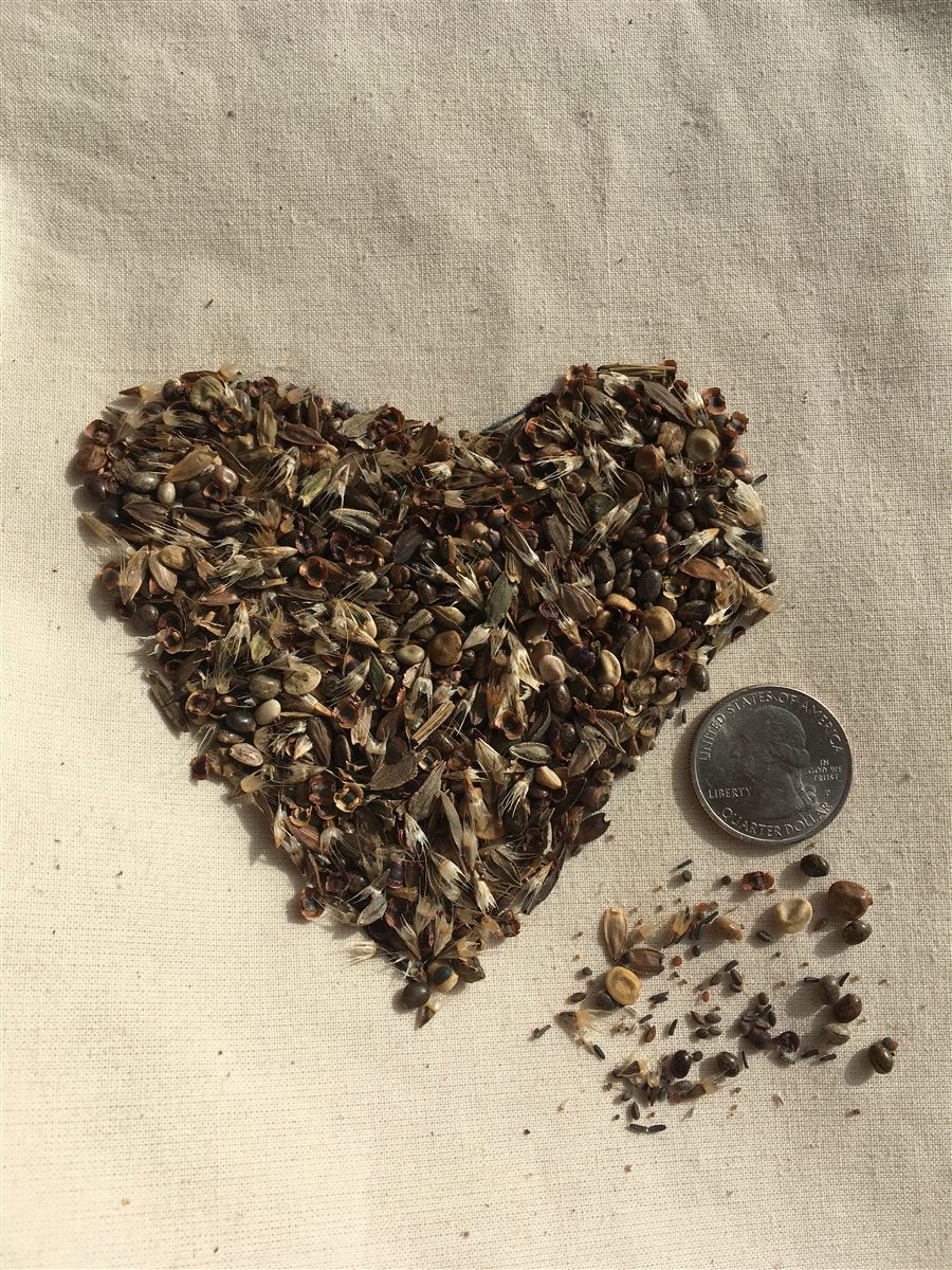 No Deer Here Wildflower Mix – Unsavory Species to Deer