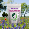 Northeast Native & Naturalized Wildflower Seed Mix