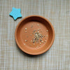Organic Cherry Tomato Seeds