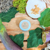 Organic Eggplant Seeds