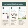 Organic Fungicide for Rose & Flower