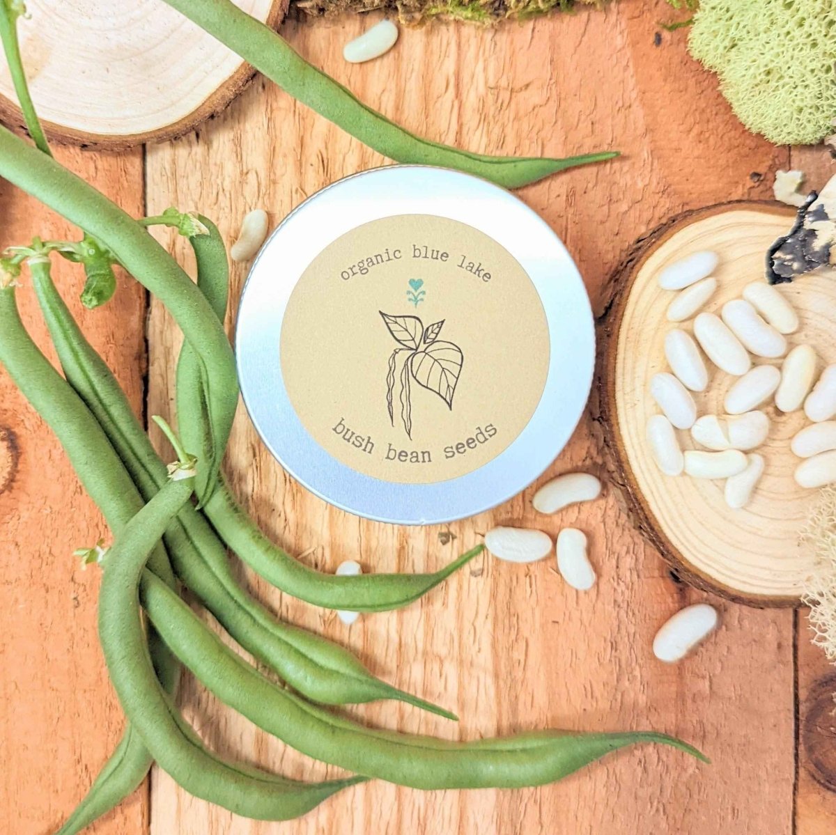 Organic Green Bean Seeds