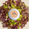 Organic Lettuce Lollo Rosso Seeds
