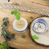 Organic Oregano Seeds