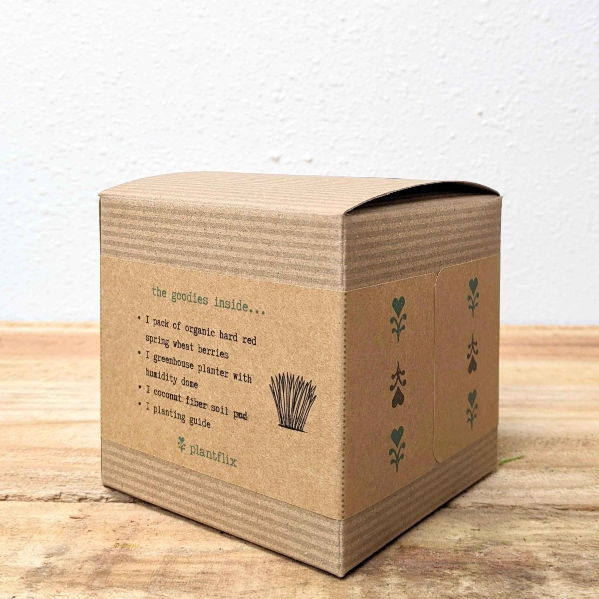 Organic Petgrass Grow Kit – photo 4