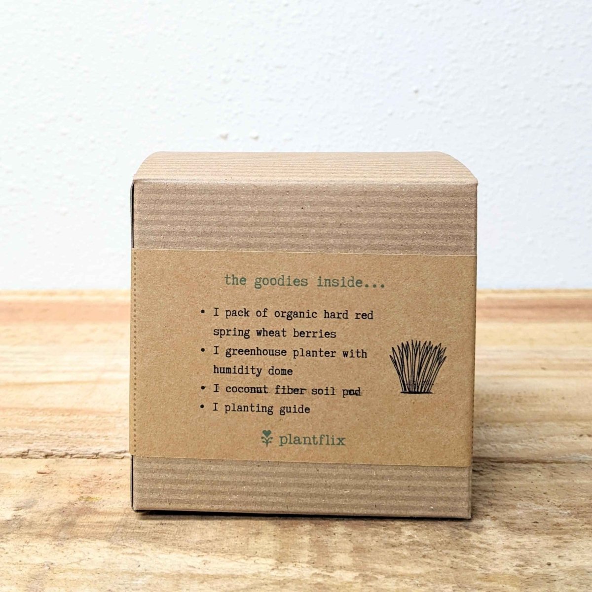 Organic Petgrass Grow Kit – photo 5