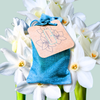 Paperwhite Bulb – live plant
