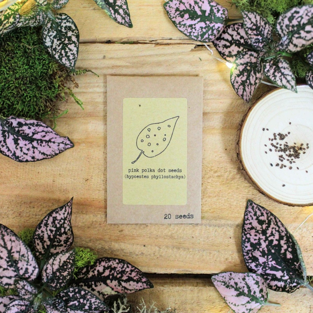 "Pet-Friendly" Houseplant Seed Collection – photo 2