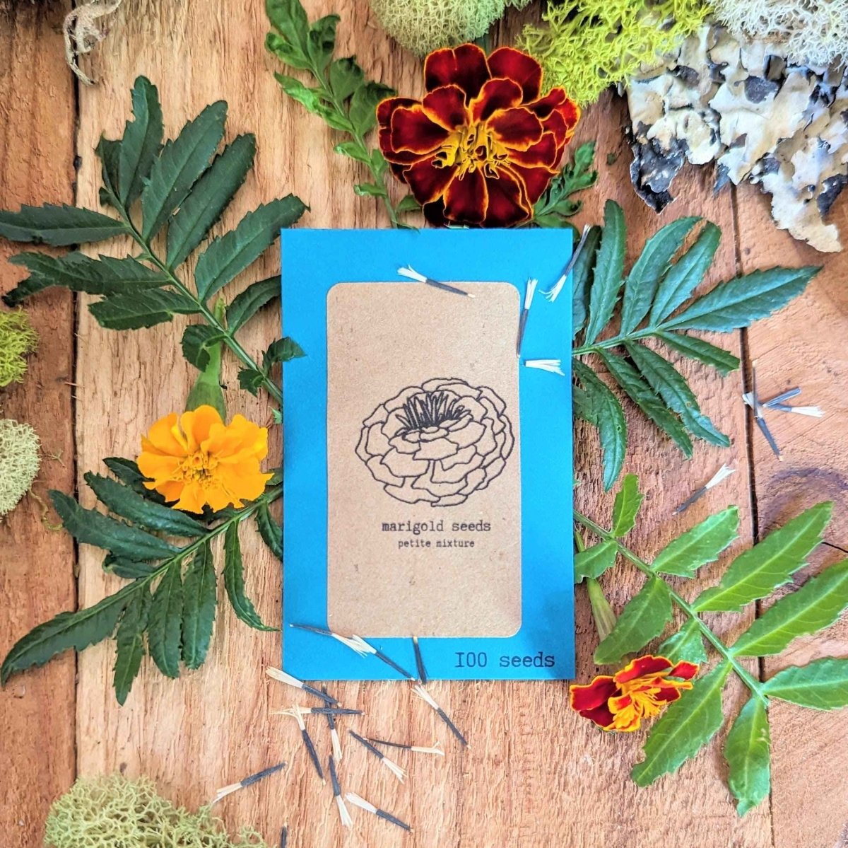Petite Marigold Seeds – photo 2