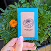 Petite Marigold Seeds – photo 3