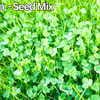 PetLawn Dog-Friendly Lawn Mix – Durable, Pet-Safe Grass & Clover Blend – photo 2