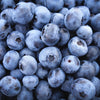 50 SOUTHERN HIGHBUSH BLUEBERRY Pre-Stratified Vaccinium Corymbosum Blue Berry Fruit Bush Shrub Seeds