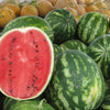 Crimson Sweet Watermelon Seeds – Citrullus lanatus Fruit Melon – photo 4