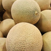 200 IROQUOIS CANTALOUPE Melon Fruit Cucumis Melo Seeds