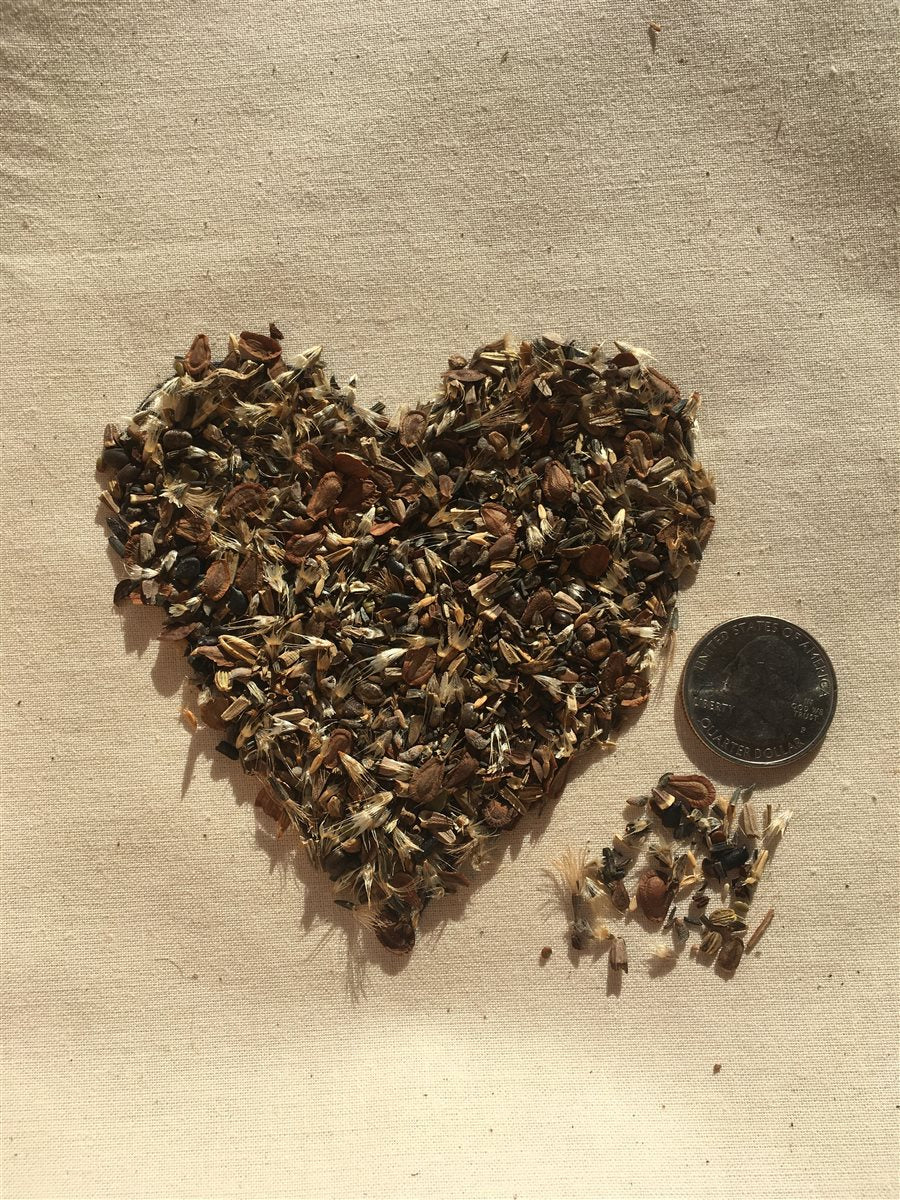 Pollinator Paradise Native Mix – photo 2