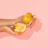 Pond Apple (Annona glabra)