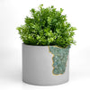 6" GREEN APATITE PLANTER