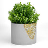 6 inch CITRINE PLANTER