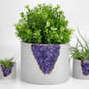 6 inch PLANTER AMETHYST