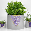 6" AMETHYST PLANTER