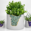 6" GREEN APATITE PLANTER