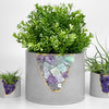 6" FLUORITE GEODE PLANTER
