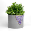 6" AMETHYST PLANTER