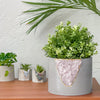 6 inch ROSE QUARTZ PLANTER