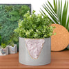 6 inch ROSE QUARTZ PLANTER